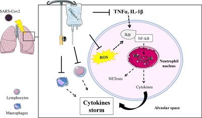 The Long History of Vitamin C: From Prevention of the Common Cold to Potential Aid in the Treatment of COVID-19